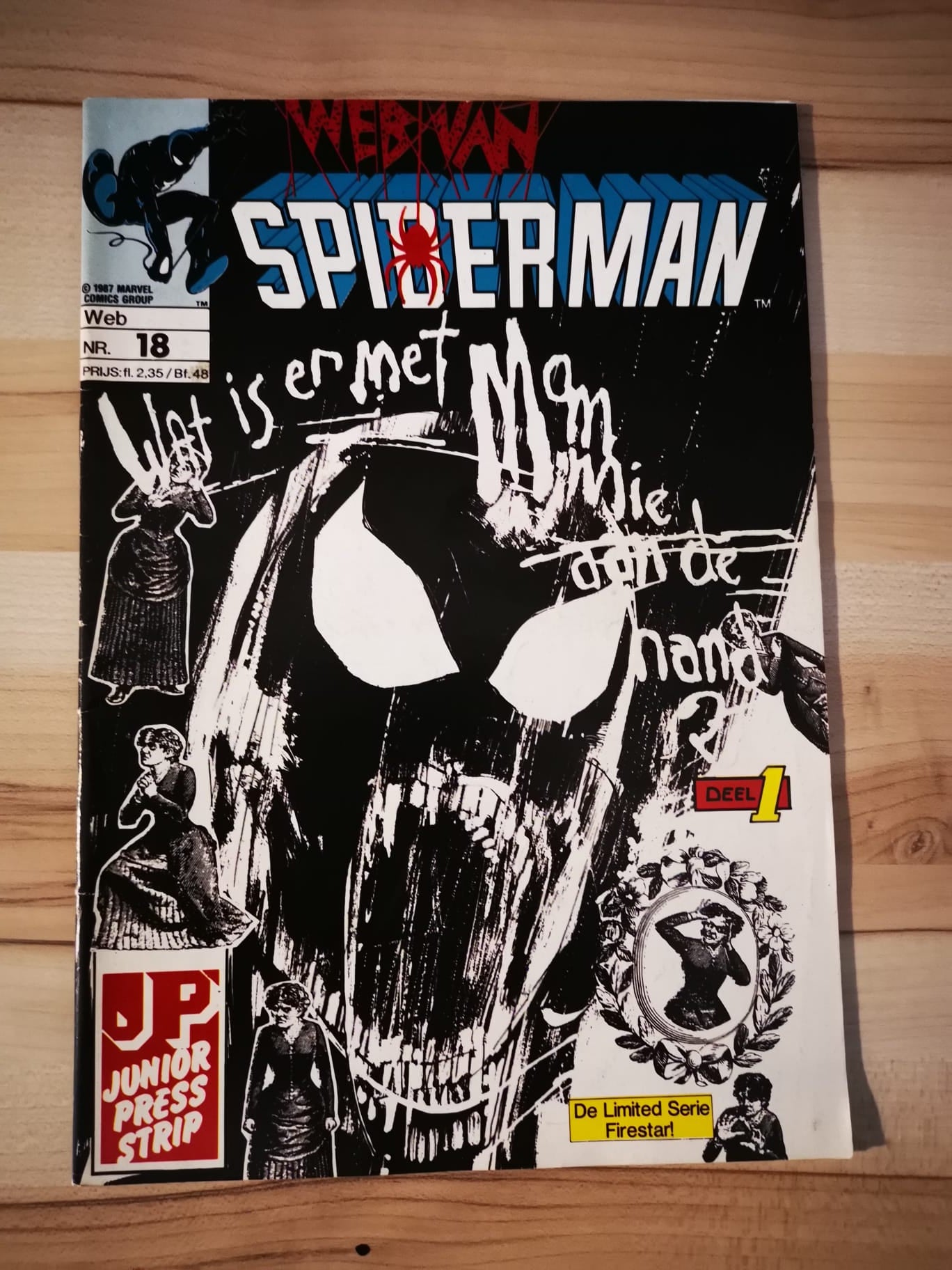 Web van spiderman #18